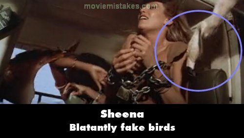 Sheena mistake picture