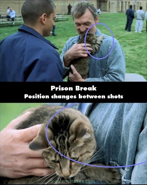 Prison Break picture