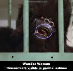 Wonder Woman mistake picture