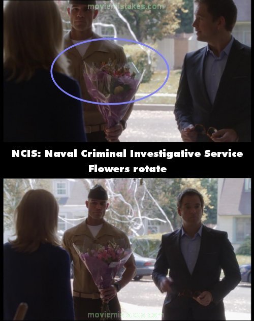 NCIS: Naval Criminal Investigative Service picture