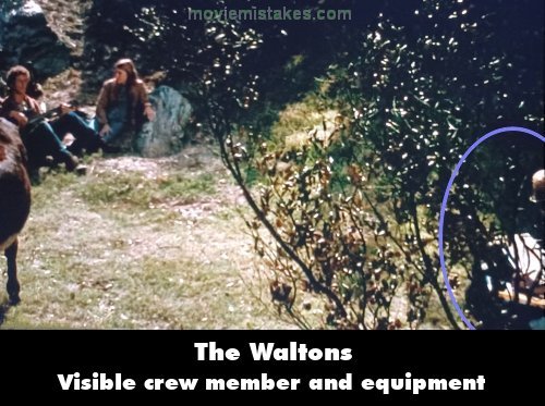 The Waltons picture