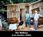 The Waltons mistake picture