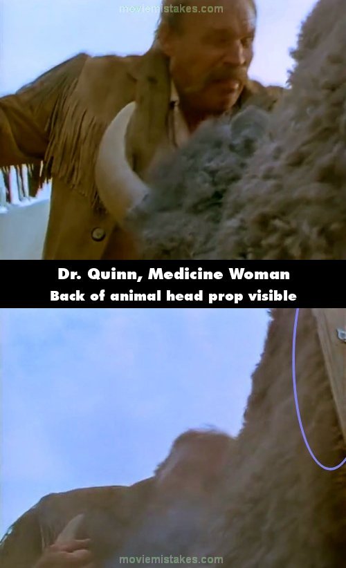 Dr. Quinn, Medicine Woman picture