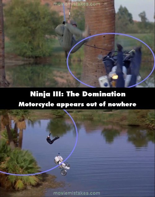 Ninja III: The Domination picture