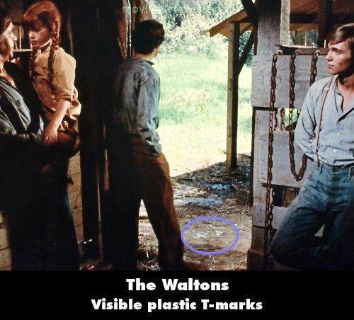 The Waltons picture