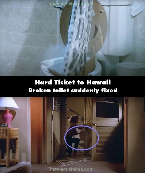 Hard Ticket to Hawaii picture