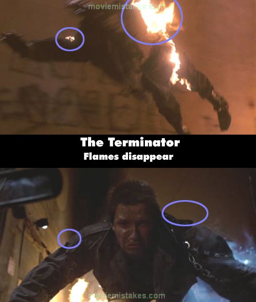 The Terminator picture