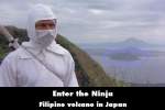 Enter the Ninja mistake picture