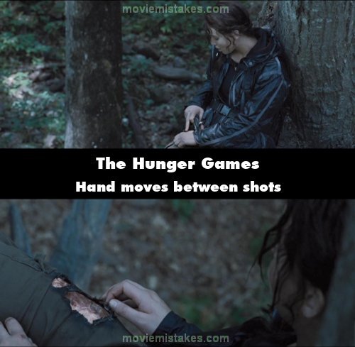 The Hunger Games picture