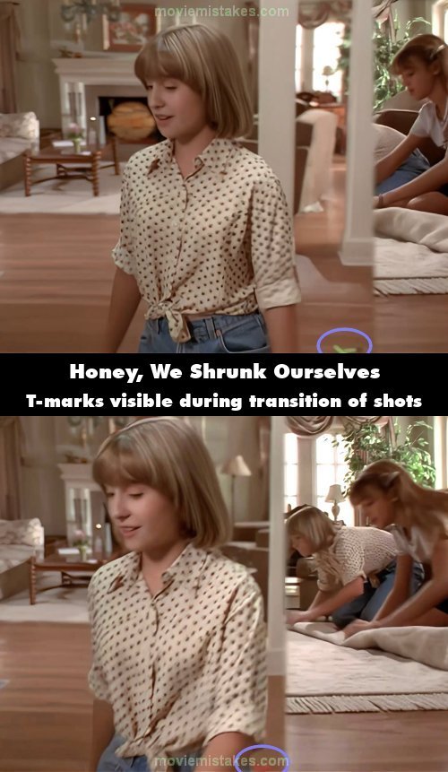 Honey, We Shrunk Ourselves picture