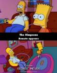 The Simpsons mistake picture