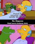 The Simpsons mistake picture