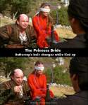 The Princess Bride mistake picture