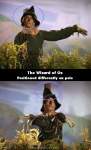 The Wizard of Oz mistake picture