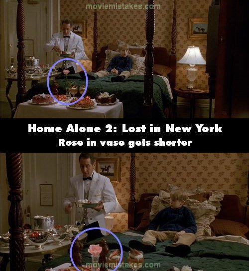 Home Alone 2: Lost in New York picture