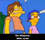 The Simpsons mistake picture