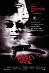 Romeo Must Die picture