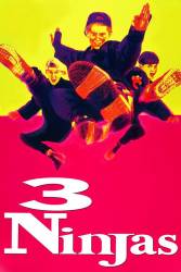 3 Ninjas picture