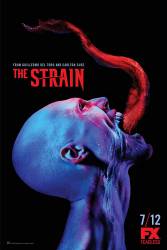 The Strain picture