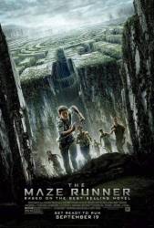 The Maze Runner picture