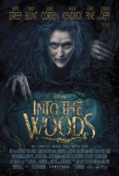 Into the Woods picture