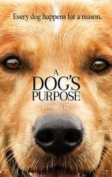 A Dog's Purpose picture