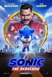 Sonic the Hedgehog picture