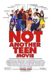 Not Another Teen Movie picture