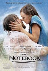 The Notebook plot summary