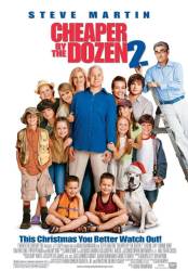 Cheaper by the Dozen 2 picture