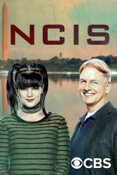 NCIS: Naval Criminal Investigative Service