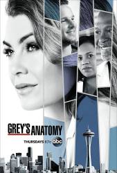 Grey's Anatomy picture