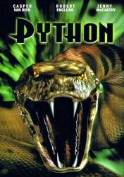 Python picture