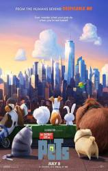 The Secret Life of Pets picture