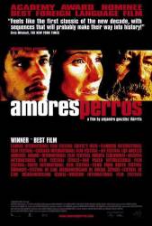 Amores perros picture